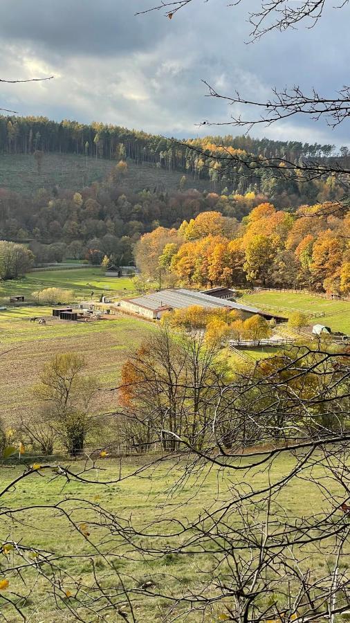 Ferienapartments Reitanlage Schenksolz Schenklengsfeld المظهر الخارجي الصورة